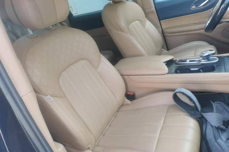 Used VOYAH Dream 2024 PHEV Extended-Range Premium Edition Right Front Seat