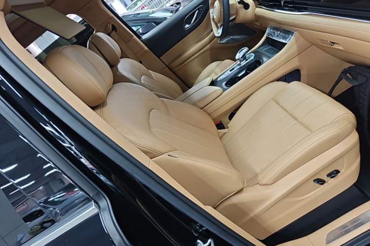 Used VOYAH Dream 2024 PHEV Extended-Range Premium Edition Right Front Seat