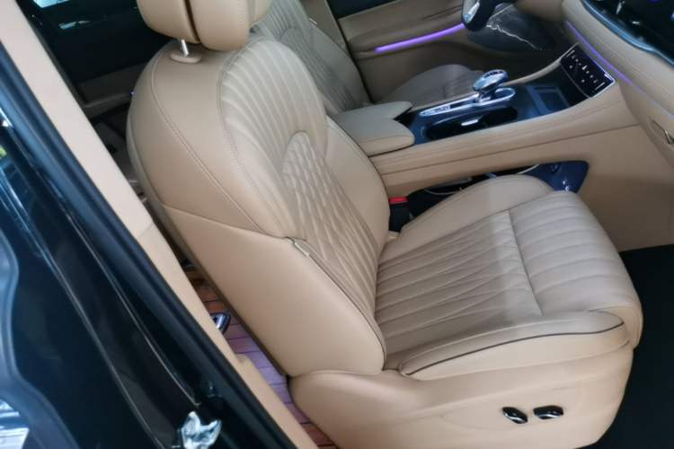 Used VOYAH Dream 2024 PHEV Ultra-Long Range Flagship Edition Right Front Seat