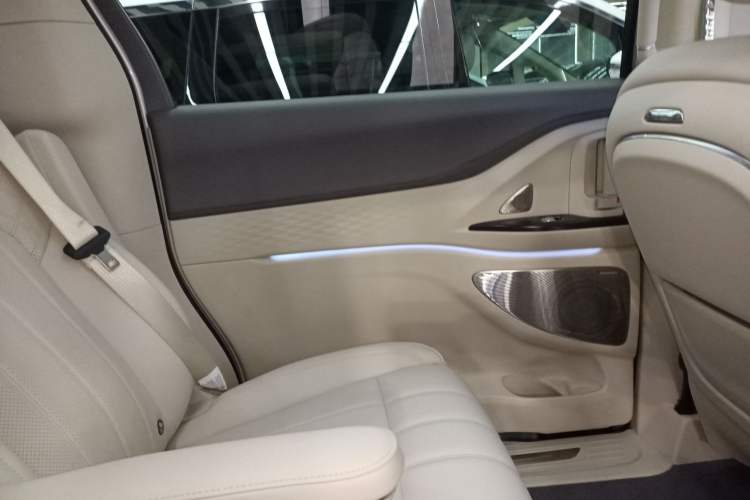 Used VOYAH Dream 2024 PHEV Extended-Range Premium Edition Left Rear Door Interior
