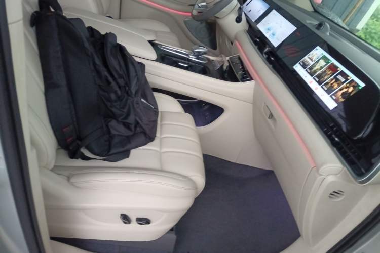 Used VOYAH Dream 2024 PHEV Extended-Range Premium Edition Right Front Seat