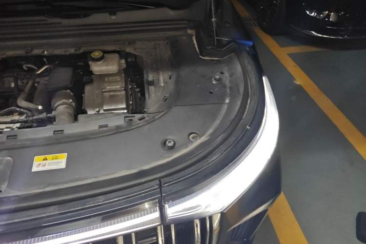 Used VOYAH Dream 2024 PHEV Extended-Range Premium Edition Engine Bay Left