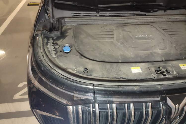Used VOYAH Dream 2024 PHEV Extended-Range Premium Edition Engine Bay Right