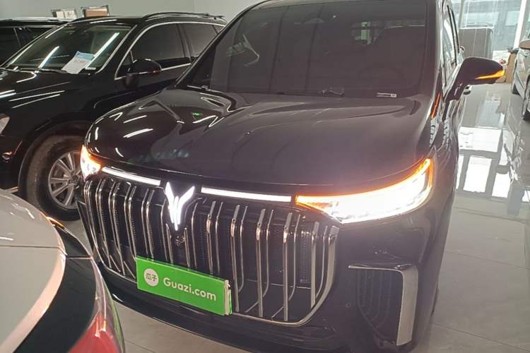 Used VOYAH Dream 2024 PHEV Ultra-Long Range Flagship Edition Front
