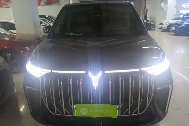Used VOYAH Dream 2024 PHEV Ultra-Long Range Flagship Edition Front