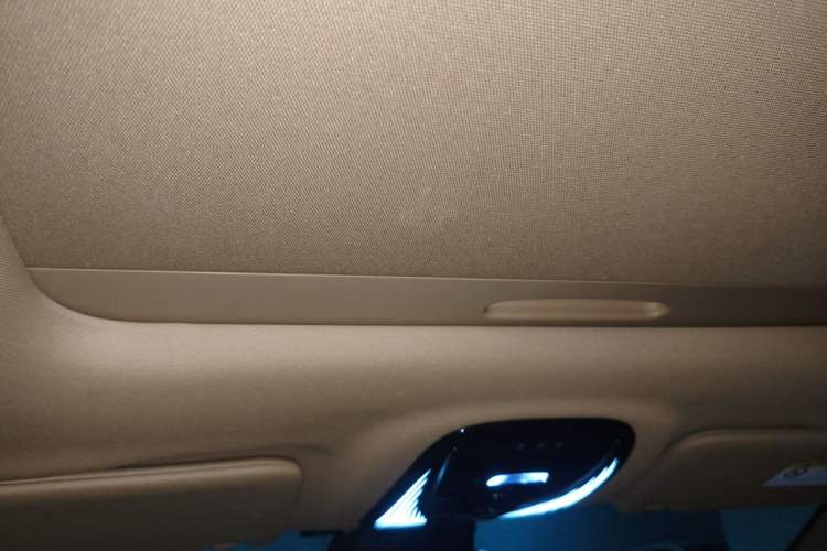 Used VOYAH Dream 2024 PHEV Extended-Range Premium Edition Headliner