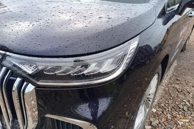 Used VOYAH Dream 2024 PHEV Extended-Range Premium Edition Left Front Headlight