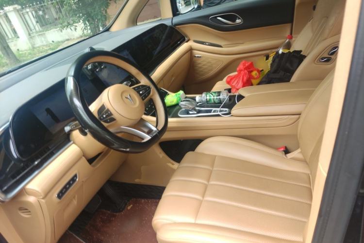 Used VOYAH Dream 2024 PHEV Extended-Range Premium Edition Left Front Seat