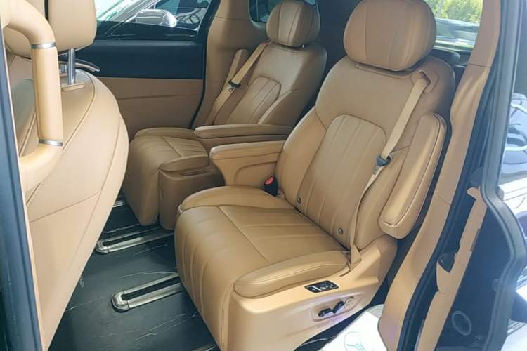Used VOYAH Dream 2024 PHEV Extended-Range Premium Edition Left Rear Seat