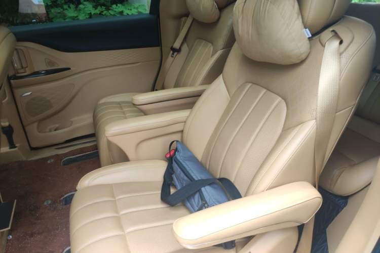 Used VOYAH Dream 2024 PHEV Extended-Range Premium Edition Left Rear Seat