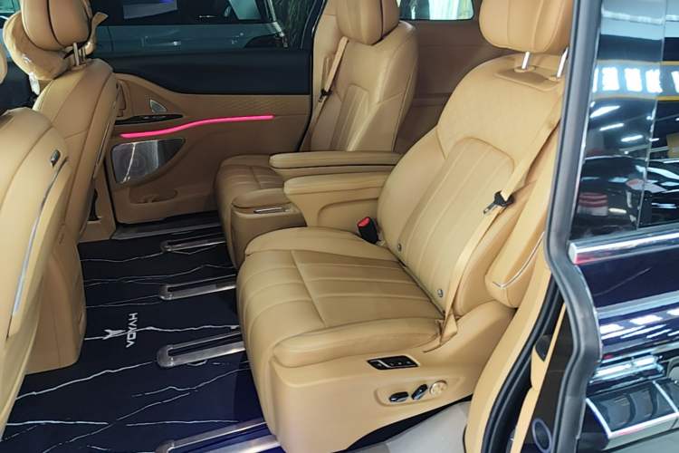 Used VOYAH Dream 2024 PHEV Extended-Range Premium Edition Left Rear Seat