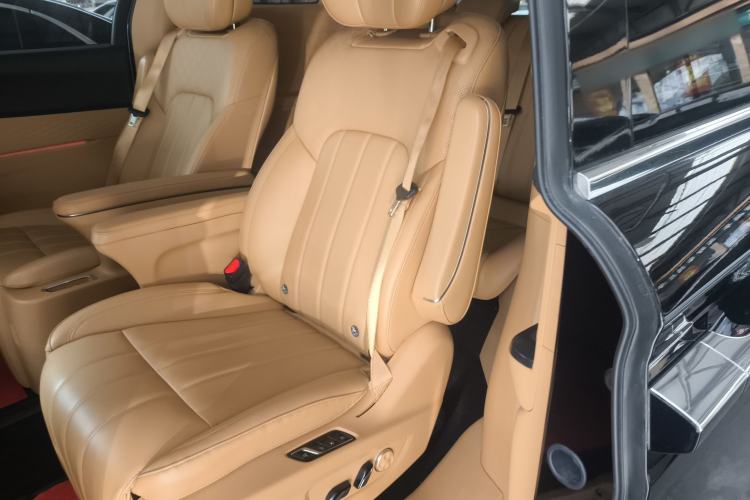 Used VOYAH Dream 2024 PHEV Extended-Range Premium Edition Left Rear Seat