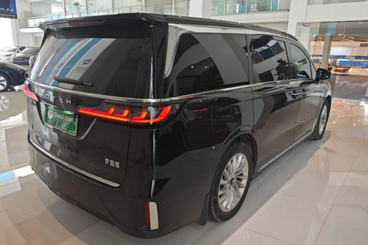 Used VOYAH Dream 2024 PHEV Extended-Range Premium Edition Rear Right 45 Deg