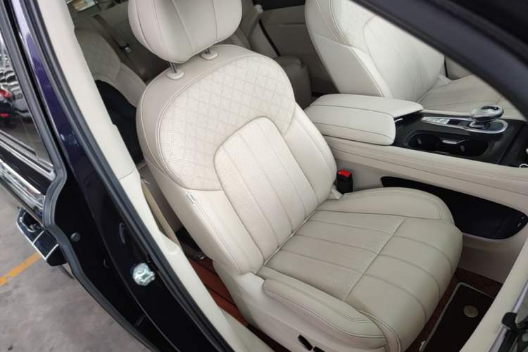 Used VOYAH Dream 2024 PHEV Extended-Range Premium Edition Right Front Seat