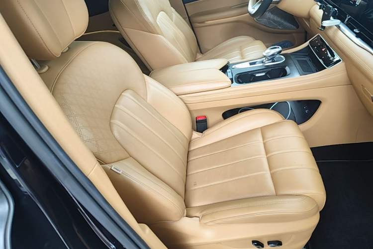 Used VOYAH Dream 2024 PHEV Extended-Range Premium Edition Right Front Seat