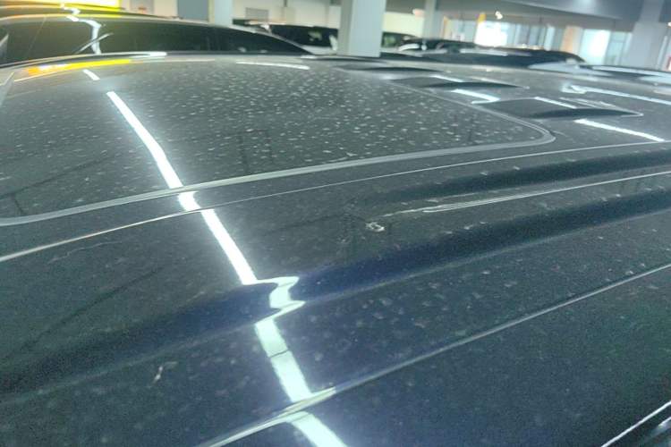 Used VOYAH Dream 2024 PHEV Extended-Range Premium Edition Roof