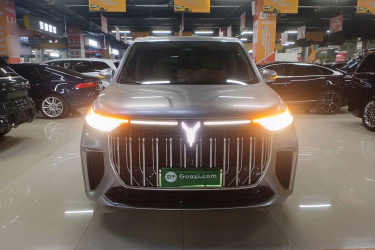 Used VOYAH Dream 2024 PHEV Extended-Range Premium Edition Exterior 1
