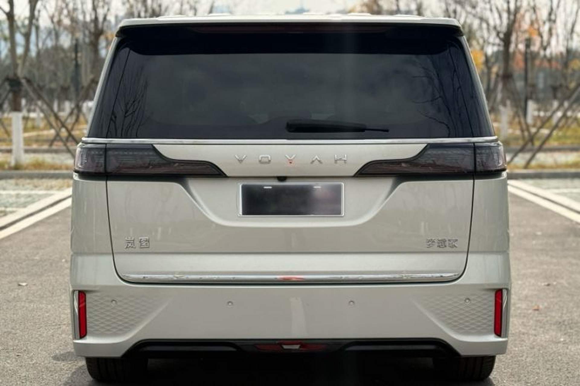 Used VOYAH Dream 2024 PHEV Ultra-Long Range Flagship Edition Exterior 6