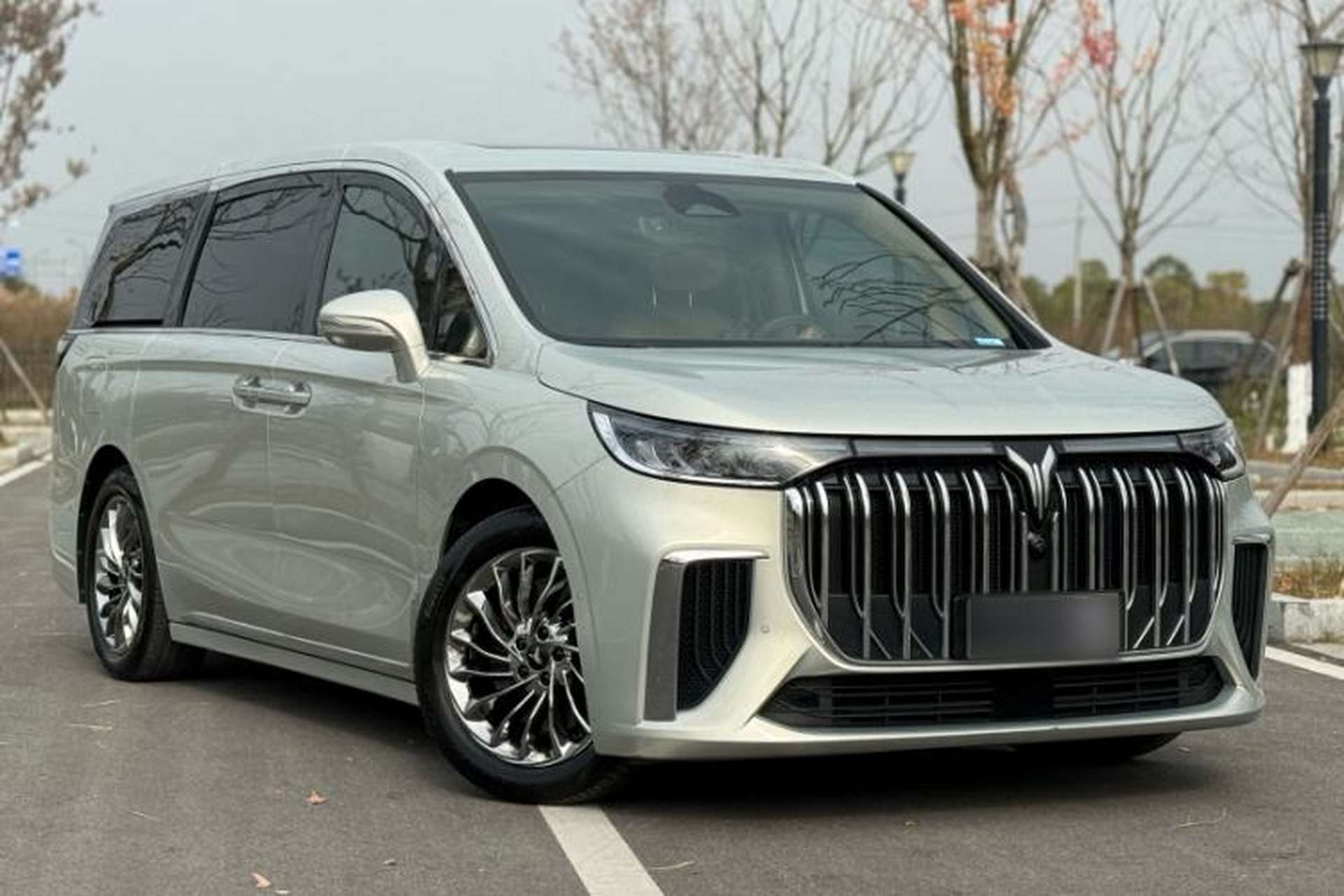 Used VOYAH Dream 2024 PHEV Ultra-Long Range Flagship Edition Exterior 8