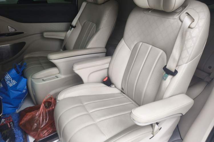 Used VOYAH Dream 2024 PHEV Extended-Range Premium Edition Left Rear Seat