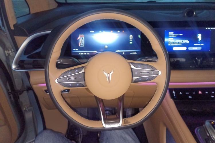 Used VOYAH Dream 2024 EV Long-Range Flagship Edition Steering Wheel