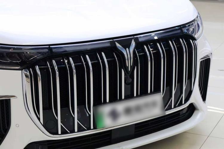 Used VOYAH Dream 2024 PHEV Ultra-Long Range Flagship Edition Exterior 9
