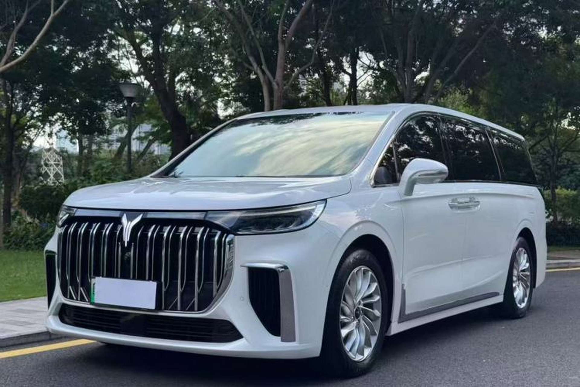 Used VOYAH Dream 2024 PHEV Extended-Range Premium Edition Front Left 45 Deg
