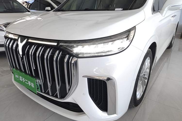Used VOYAH Dream 2024 PHEV Extended-Range Premium Edition Left Front Headlight