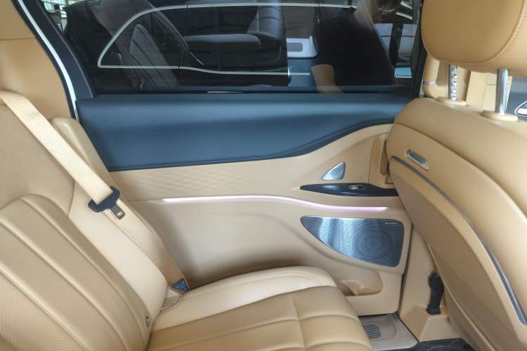 Used VOYAH Dream 2024 PHEV Extended-Range Premium Edition Left Rear Door Interior