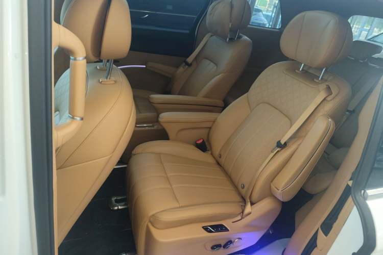 Used VOYAH Dream 2024 PHEV Extended-Range Premium Edition Left Rear Seat
