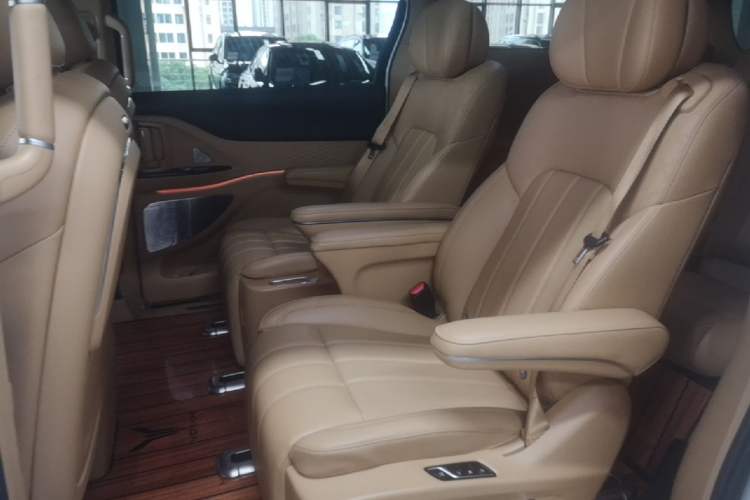 Used VOYAH Dream 2024 PHEV Extended-Range Premium Edition Left Rear Seat