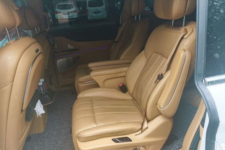 Used VOYAH Dream 2024 PHEV Extended-Range Premium Edition Left Rear Seat