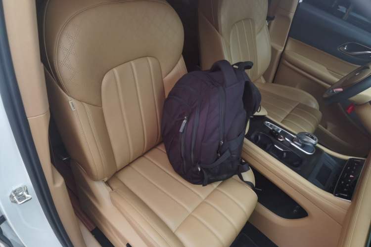 Used VOYAH Dream 2024 PHEV Extended-Range Premium Edition Right Front Seat