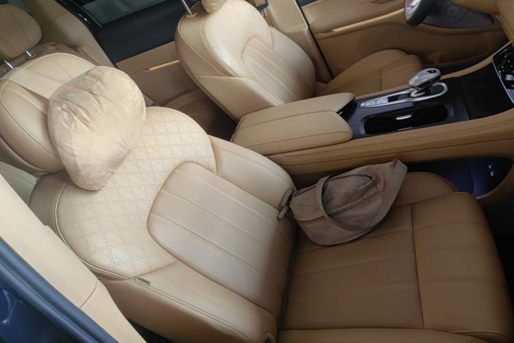 Used VOYAH Dream 2024 PHEV Extended-Range Premium Edition Right Front Seat