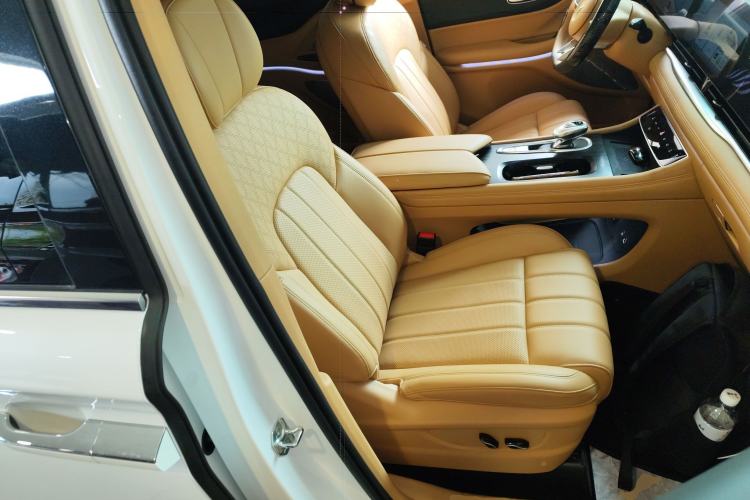 Used VOYAH Dream 2024 PHEV Extended-Range Premium Edition Right Front Seat