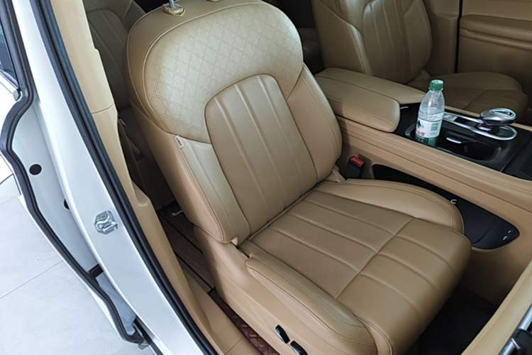 Used VOYAH Dream 2024 PHEV Extended-Range Premium Edition Right Front Seat