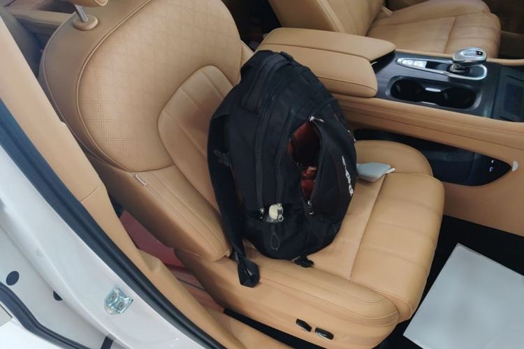 Used VOYAH Dream 2024 PHEV Extended-Range Premium Edition Right Front Seat
