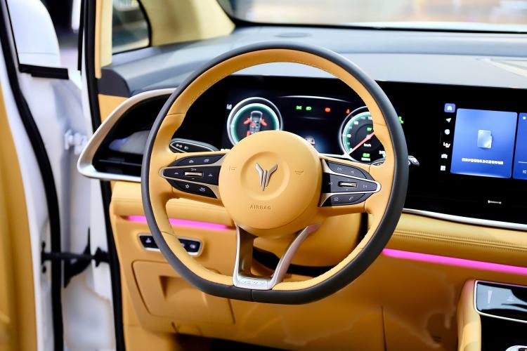 Used VOYAH Dream 2024 PHEV Ultra-Long Range Flagship Edition Steering Wheel