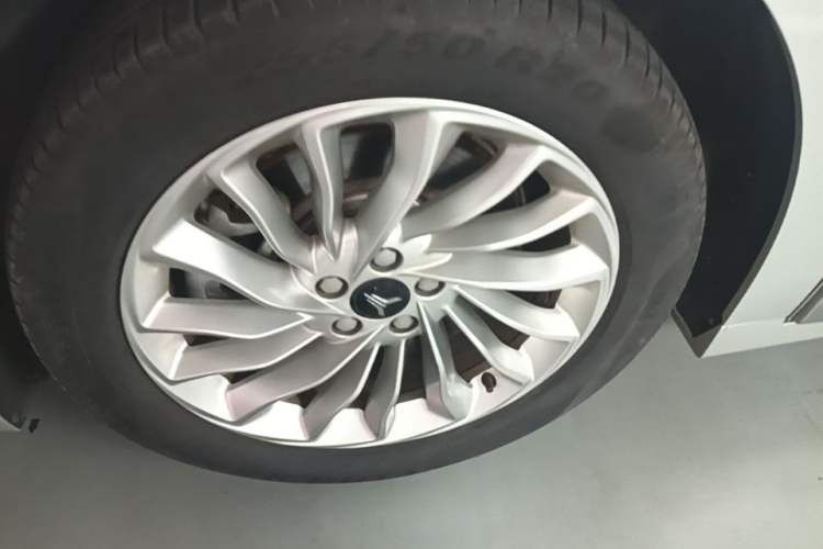 Used VOYAH Dream 2024 EV Long-Range Premium Edition Exterior 4