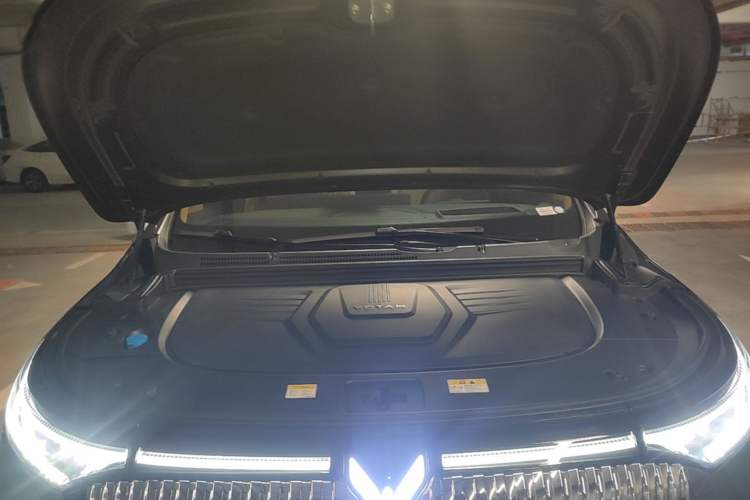 Used VOYAH Dream 2025 PHEV Four-Wheel-Drive Flagship Kunpeng Edition Engine Bay