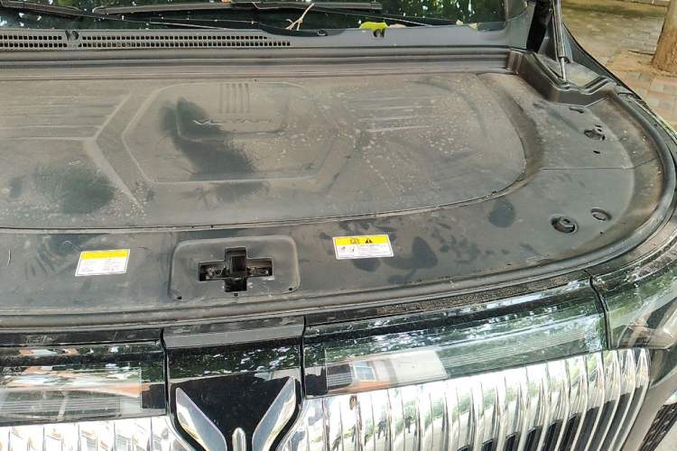 Used VOYAH Dream 2025 PHEV Four-Wheel Drive Excellence Kunpeng Edition Engine Bay Left