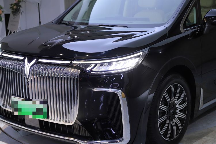 Used VOYAH Dream 2025 EV Four-Wheel Drive Flagship Kunpeng Edition Exterior 5