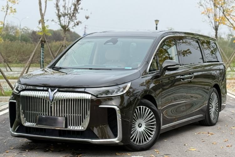 Used VOYAH Dream 2025 PHEV Four-Wheel-Drive Flagship Kunpeng Edition Exterior 6