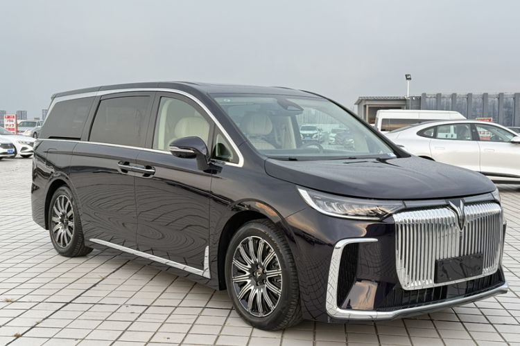 Used VOYAH Dream 2025 EV Four-Wheel Drive Flagship Kunpeng Edition Exterior 6