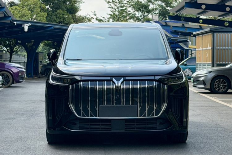 Used VOYAH Dream 2025 EV Long-range Century Edition Exterior 8