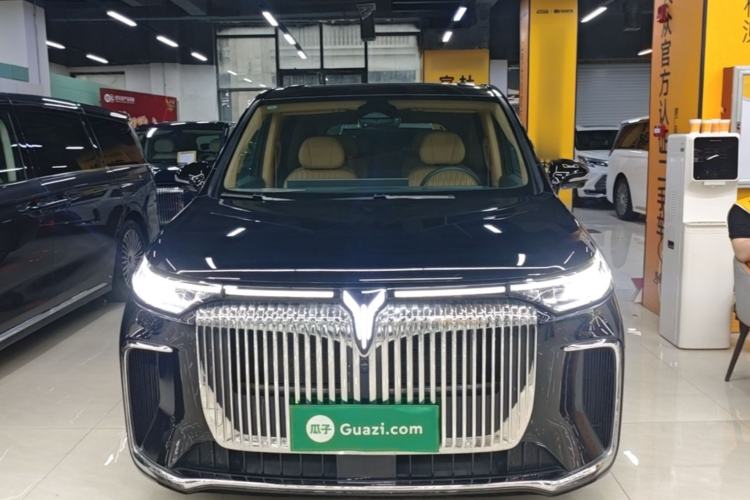 Used VOYAH Dream 2025 PHEV Four-Wheel-Drive Flagship Kunpeng Edition Front