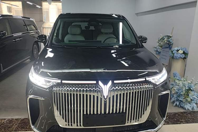 Used VOYAH Dream 2025 PHEV Four-Wheel Drive Prestige Kunpeng Edition Front