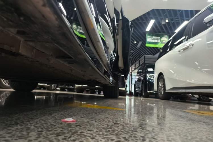 Used VOYAH Dream 2025 PHEV Four-Wheel Drive Excellence Qiankun Edition Left Side Sill