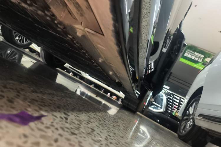 Used VOYAH Dream 2025 PHEV Four-Wheel Drive Prestige Kunpeng Edition Left Side Sill