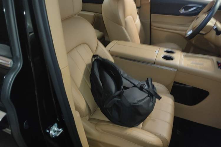 Used VOYAH Dream 2025 PHEV Four-Wheel Drive Excellence Qiankun Edition Right Front Seat